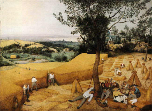 A Colheita de Trigo de Pieter Bruegel