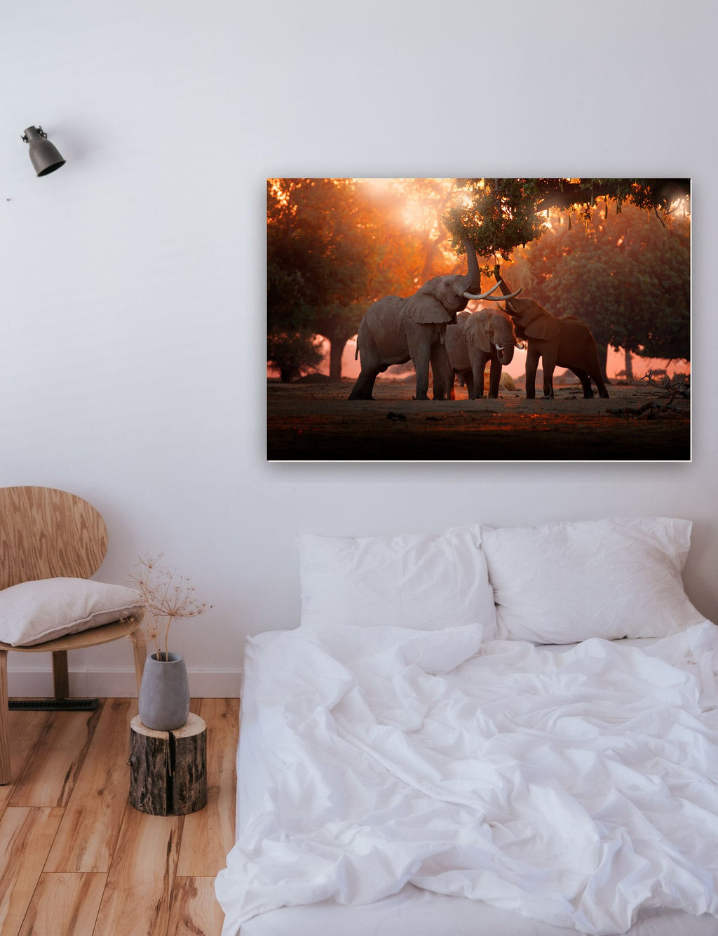 Elefante no Parque Nacional de Mana Pools, Zimbábue, África na parede de um quarto