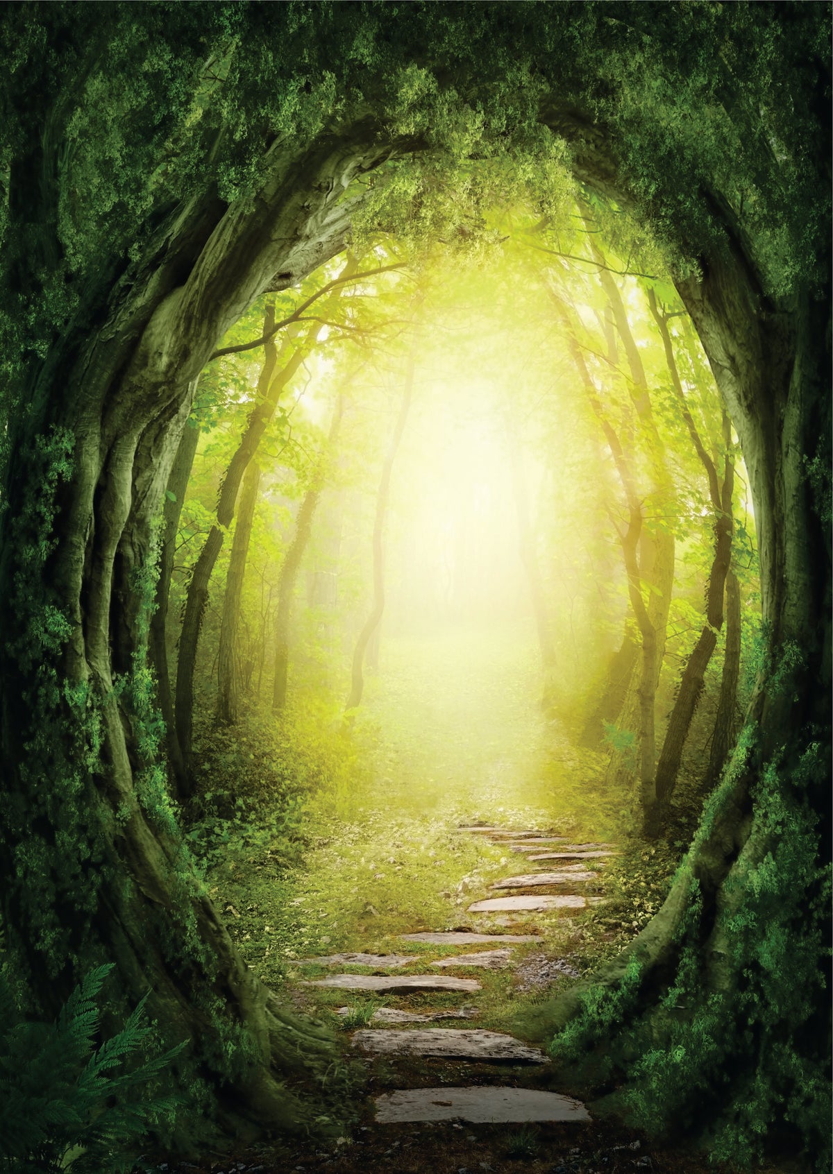 Estrada em floresta escura