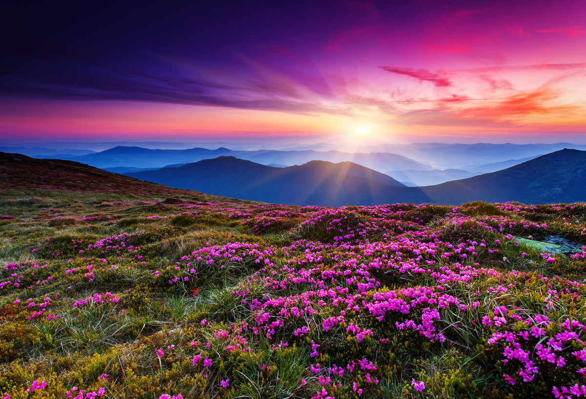 Flores na montanha