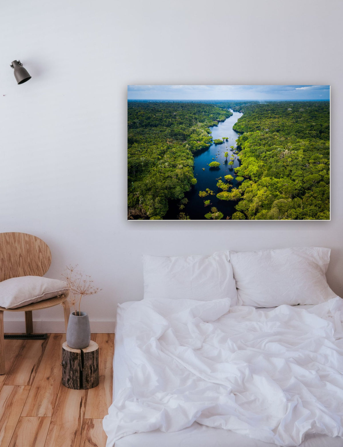 Floresta Amazônica no Parque Nacional de Anavilhanas, Amazonas - Brasil na parede de um quarto