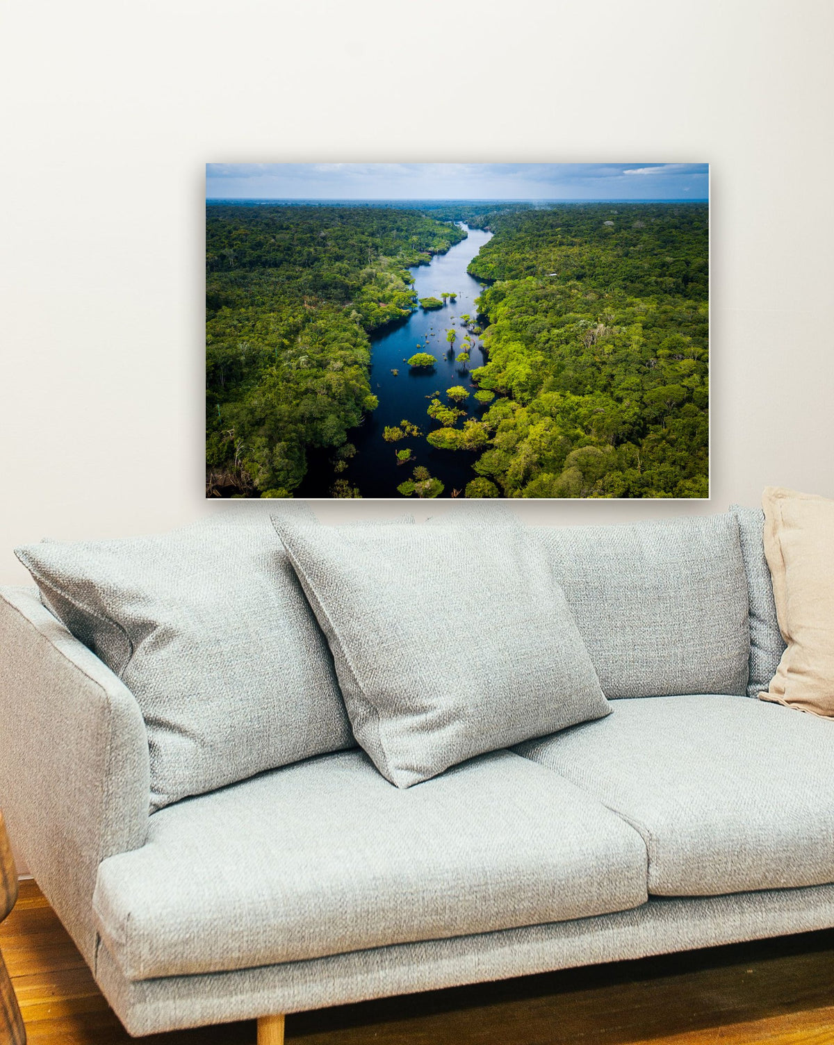 Floresta Amazônica no Parque Nacional de Anavilhanas, Amazonas - Brasil na parede de uma sala