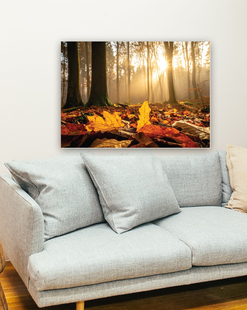 Floresta no outono na parede de uma sala