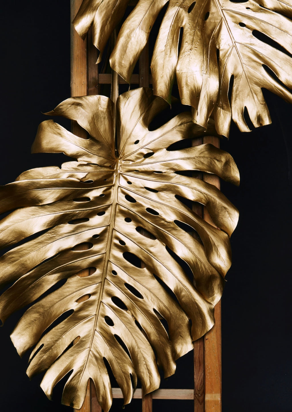 Golden Plant 7