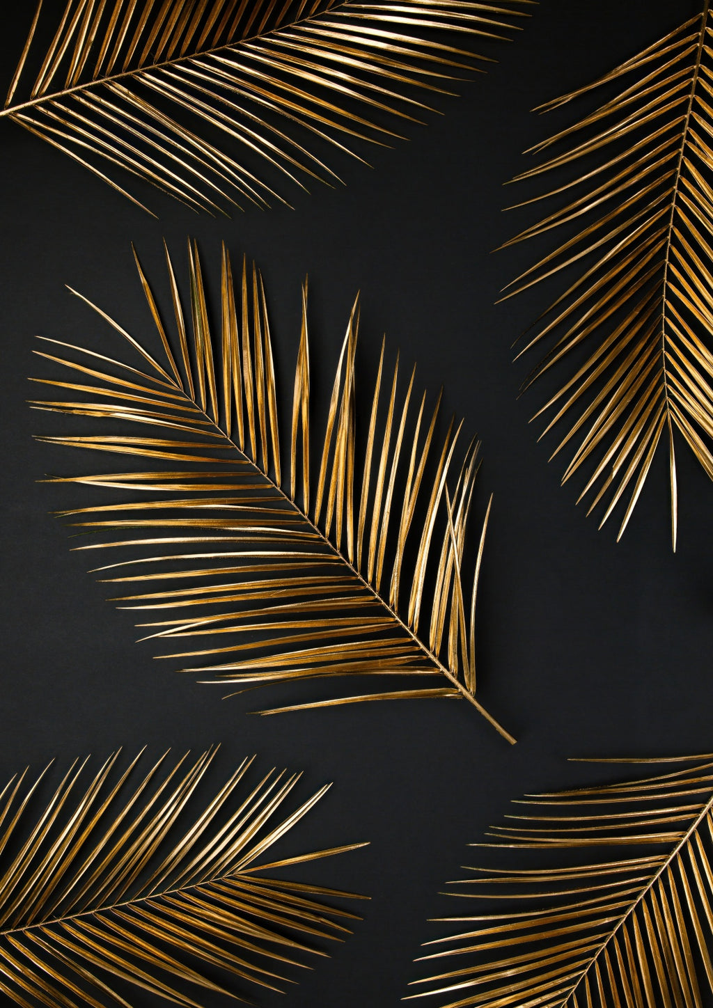 Golden Plant 8