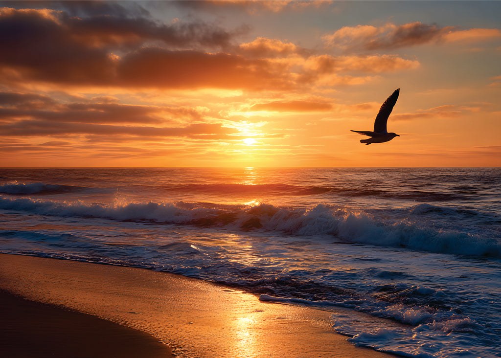 Pôr do sol na praia 3
