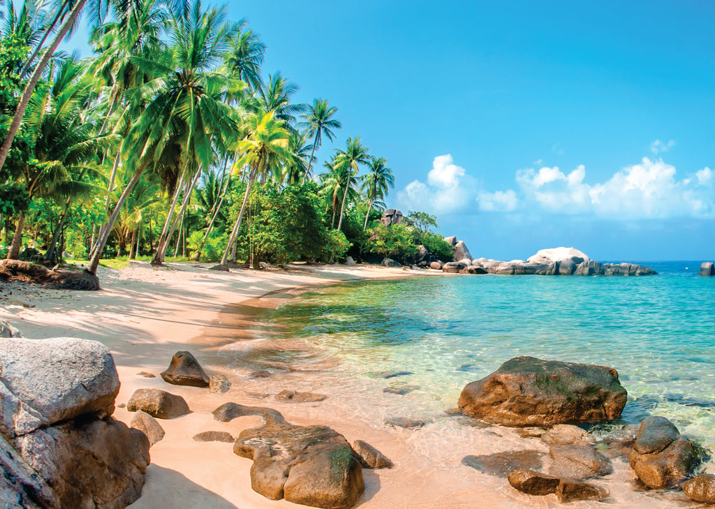 Praia Tropical com Palmeiras